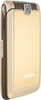 Samsung GT-S3600 Luxury Gold в Нижнем Новгороде вид 2