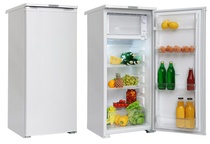 Холодильник Саратов 451 белый 