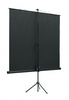 Экран на штативе Lumien Eco View 180*180 в Нижнем Новгороде вид 2