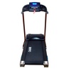Беговая дорожка EVO FITNESS Genesis в Нижнем Новгороде вид 4