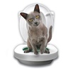 Система приучения кошек к унитазу Citi Kitty Cat Toilet Training в Нижнем Новгороде вид 4